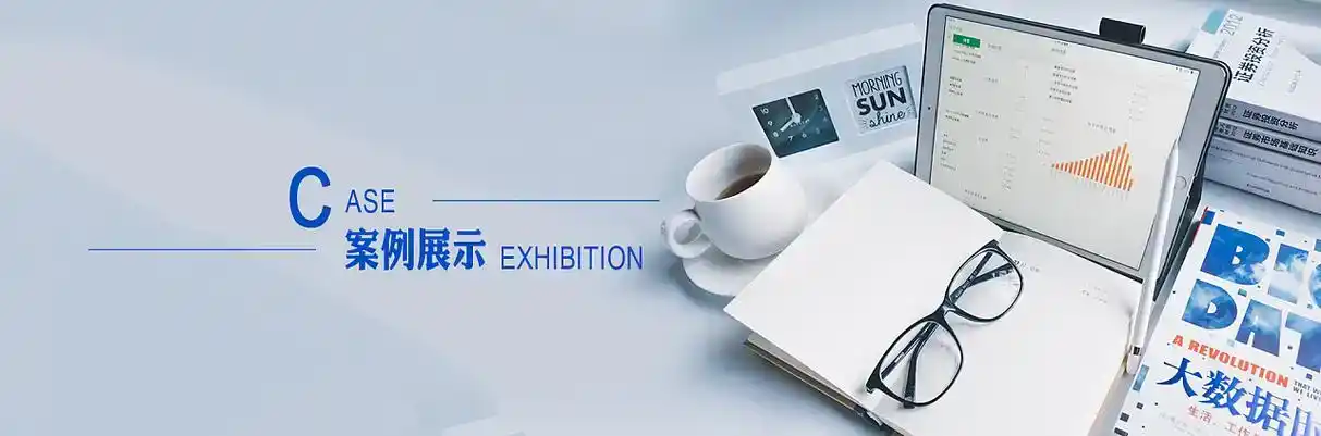 蓬安县软件开发